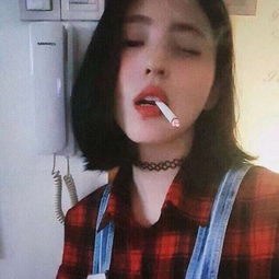 白鹿丞磊莫离人脉